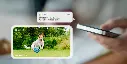 CC0979_5.webp